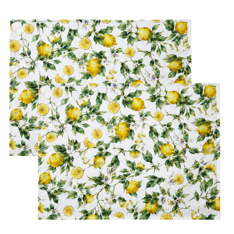 Lemonade Reçine Kaplamalı Leke Tutmaz Keten Amerikan Servisi 30x50 cm (2'li Set)