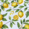 Lemonade Reçine Kaplamalı Dokuma Keten Leke Tutmaz Masa Örtüsü