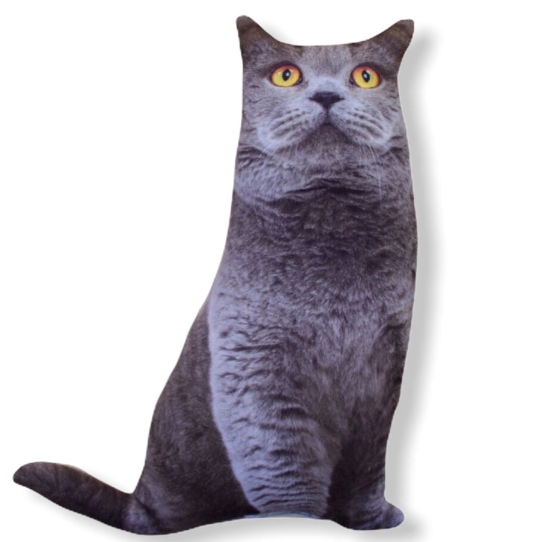 Patik 3D Renkli Gözlü Kedi Yastık