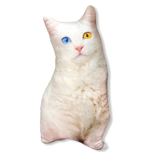 Ponçik 3D Renkli Gözlü Kedi Yastık
