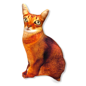 Boncuk 3D Turuncu Kedi Yastık
