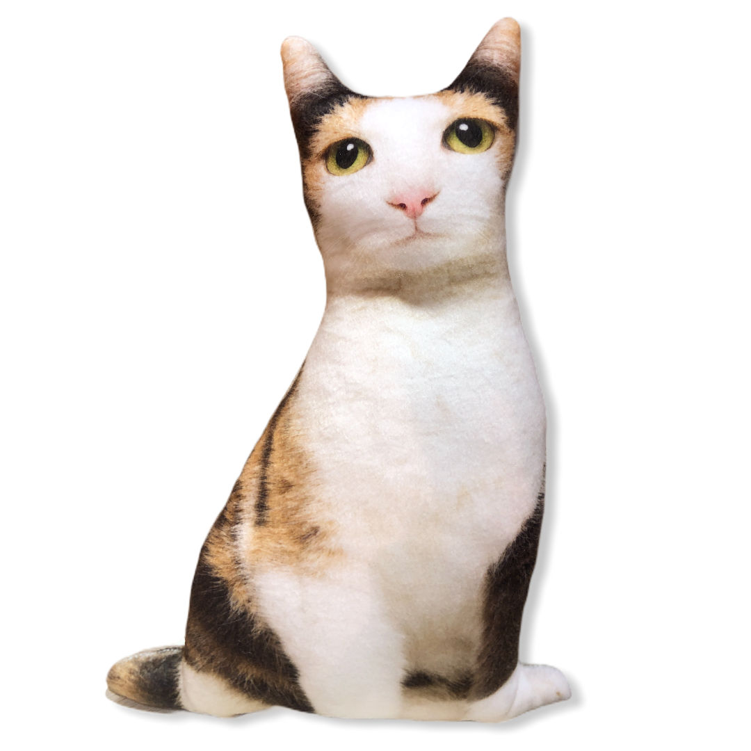 İrmik 3D Çift Renkli Kedi Yastık